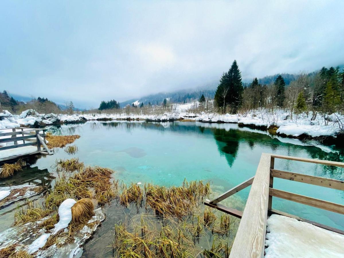 Ian'S Residence Kranjska Gora Luaran gambar